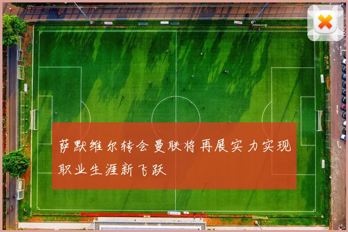 萨默维尔转会曼联将再展实力实现职业生涯新飞跃